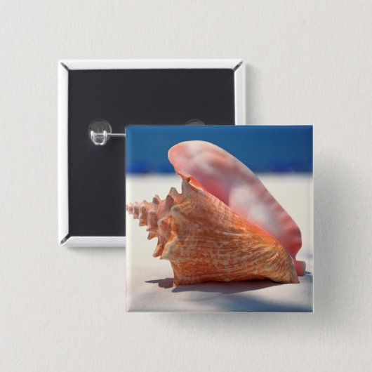 Tritonshorn-Muschel auf Strand 2 Button (Vorne & Hinten)