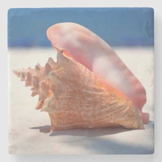 Tritonshorn-Muschel auf Strand 2 Steinuntersetzer (Vorderseite)