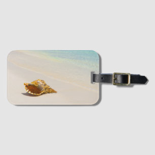 Tritonshorn-Muschel auf Strand 3 Gepäckanhänger