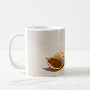 Tritonshorn-Muschel auf Strand 3 Kaffeetasse