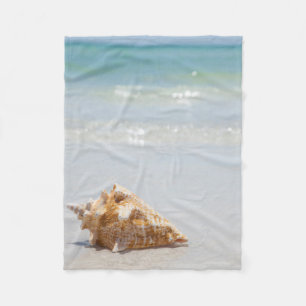 Tritonshorn-Muschel auf Strand   Florida, St Fleecedecke