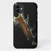 Tritonshorn-Muschel Case-Mate iPhone Hülle (Rückseite)