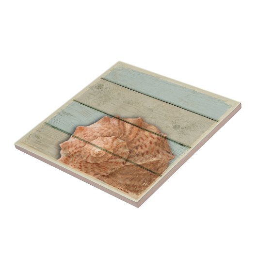 Tritonshorn-Muschel Fliese (Seite)