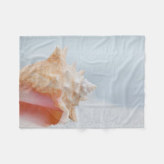 Tritonshorn-Muschel | Florida Fleecedecke (Vorderseite (Horizontal))