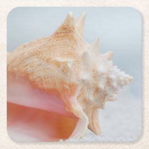 Tritonshorn-Muschel   Florida Rechteckiger Pappuntersetzer