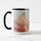 Tritonshorn-Muschel | Florida Tasse (Links)