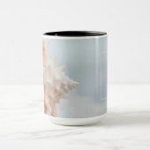 Tritonshorn-Muschel | Florida Tasse (Zentrum)