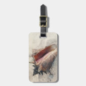 Tritonshorn-Muschel-Gepäck-Umbau Gepäckanhänger (Vorderseite vertikal)