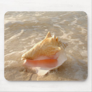Tritonshorn-Muschel im Sand auf tropischem Strand Mousepad
