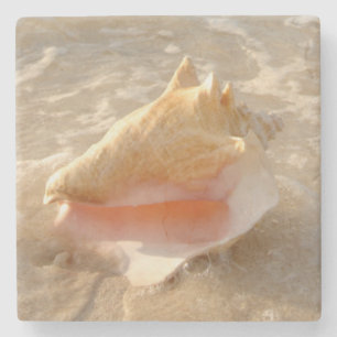 Tritonshorn-Muschel im Sand auf tropischem Strand Steinuntersetzer