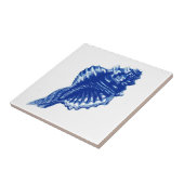 Tritonshorn-Muschel, Indigo-Blau und Weiß Fliese (Seite)