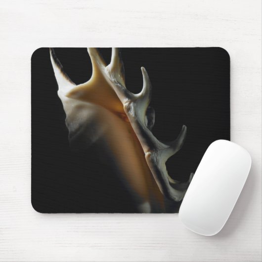 Tritonshorn-Muschel Mousepad (Mit Mouse)