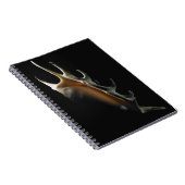 Tritonshorn-Muschel Notizblock (Rechte Seite)