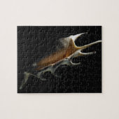 Tritonshorn-Muschel Puzzle (Horizontal)