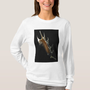 Tritonshorn-Muschel T-Shirt