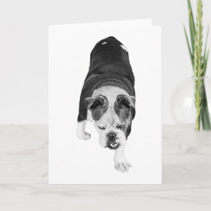 Tritt Hund sendet warme motivierende Wünsche Karte