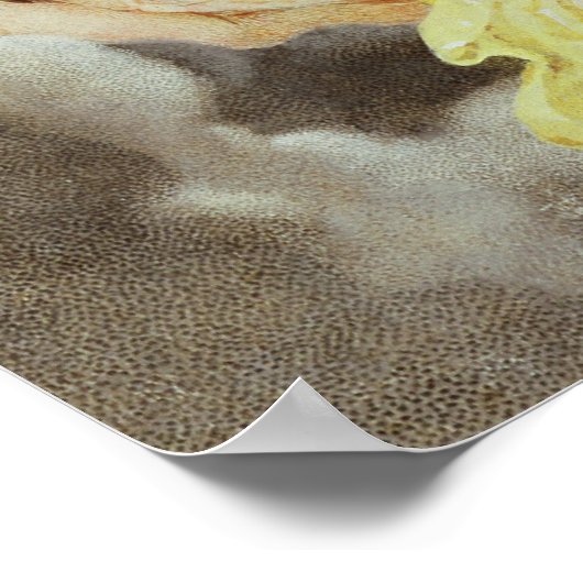 Triumph of King Louis XIV of France Poster (Ecke)