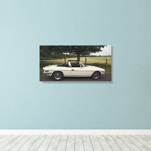 Triumph Stag Leinwanddruck (Insitu (Holzboden))