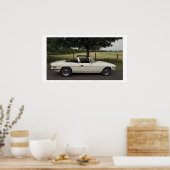 Triumph Stag Poster (Küche)