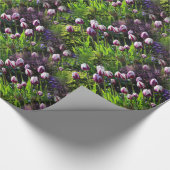 Triumph-Tulips mit der weißen und Lila Flammenflag Geschenkpapier (Ecke)