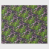 Triumph-Tulips mit der weißen und Lila Flammenflag Geschenkpapier (Flach)