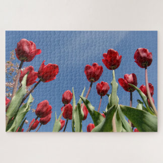 Triumph-Tulpe (Tulipa) "Reinier Paping" Puzzle