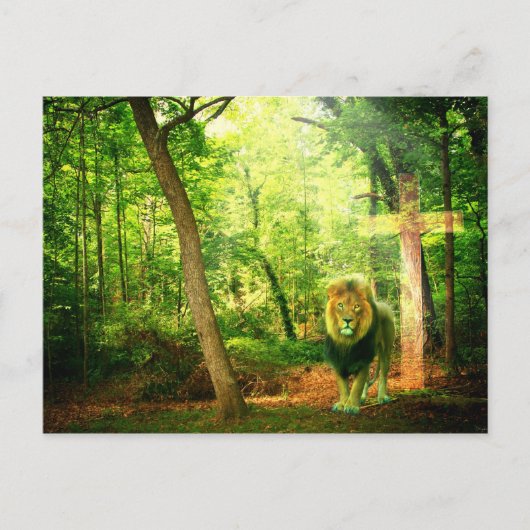 Triumphant King Postkarte (Vorderseite)