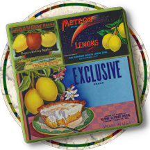 TRIVET - Äpfel-Zitronen-Zitronen-Zitrone - Kratenk