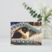 Trixie und die Blues Postkarte (Stehend Vorderseite)