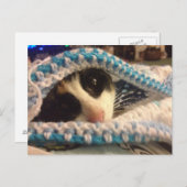 Trixie und die Blues Postkarte (Vorne/Hinten)