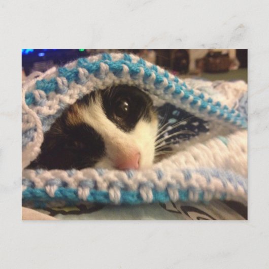 Trixie und die Blues Postkarte (Vorderseite)