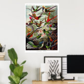 Trochilidae (Hummingbird) Poster (Heimbüro)