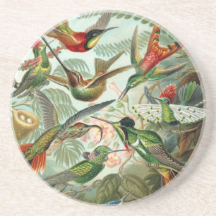 Trochilidae Untersetzer