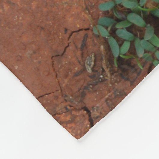 trocken, gebrochen fleecedecke (Ecke)