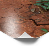 trocken, gebrochen fotodruck (Ecke)