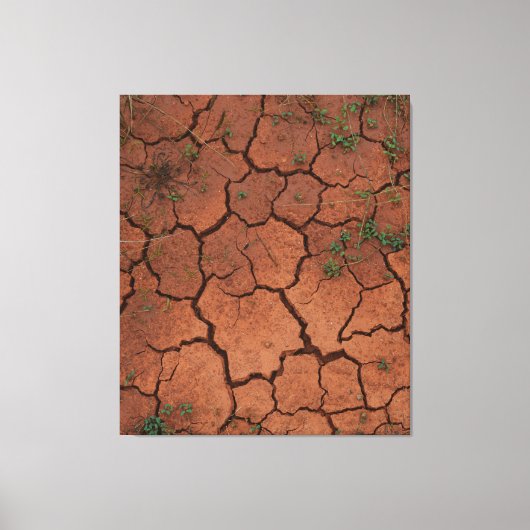 trocken, gebrochen leinwanddruck (Vorderseite)