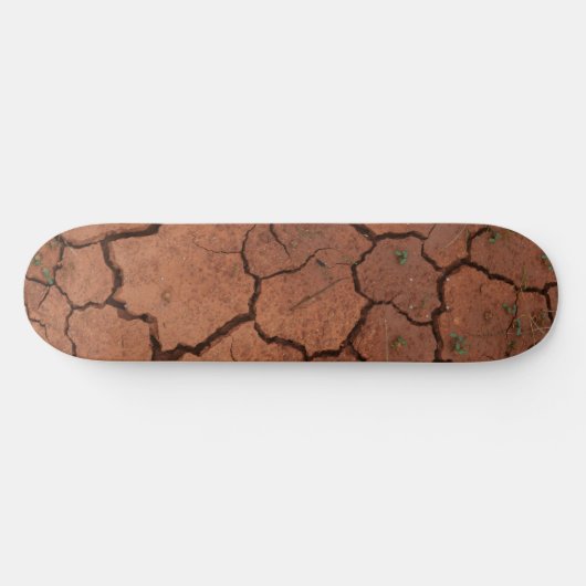 trocken, gebrochen skateboard (Horizontal)