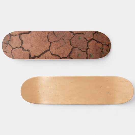 trocken, gebrochen skateboard (Horizontal)