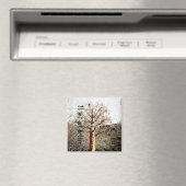 Trockene Ferula-Pflanze Magnet (In Situ (Geschirrspüler))