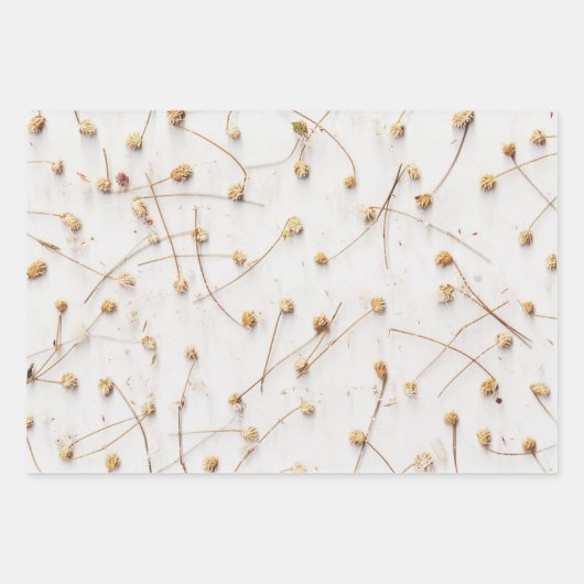 Trockene Pflanze für Hochzeiten und Geschenke Geschenkpapier Set (Vorderseite)