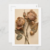 Trockene Rose Blumenmuster Postkarte Drucken (Vorne/Hinten)