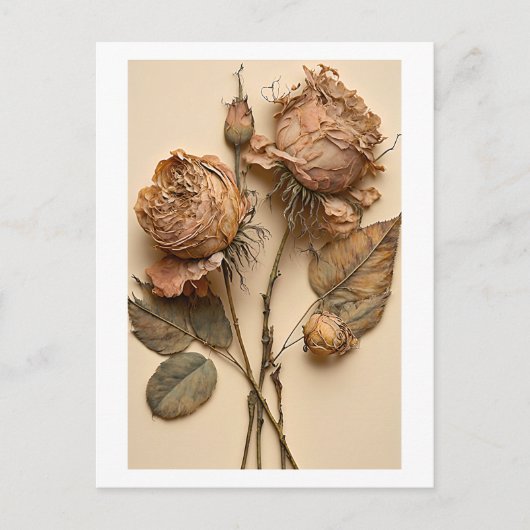 Trockene Rose Blumenmuster Postkarte Drucken (Vorderseite)