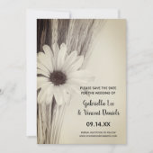 Trockene Weizen- und Daisy-Farm-Hochzeit Sichern S Save The Date (Vorderseite)