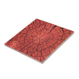 Trockener Baumstamm Querschnitt Rosa-Rotes Holz Fo Fliese