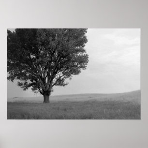 Trockener Sturm über Oklahoma Grasslands III (Ober Poster