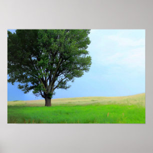 Trockener Sturm über Oklahoma Grasslands III (Ober Poster