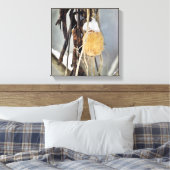 Trockener Wild-Cucumber-Vine-Samenpod im Winter Leinwanddruck (Insitu (Schlafzimmer))