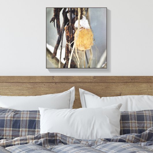 Trockener Wild-Cucumber-Vine-Samenpod im Winter Leinwanddruck (Insitu (Schlafzimmer))