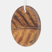 Trockenes Blatt: natürlicher Texturhintergrund. Ornament Aus Glas (Vorderseite links)