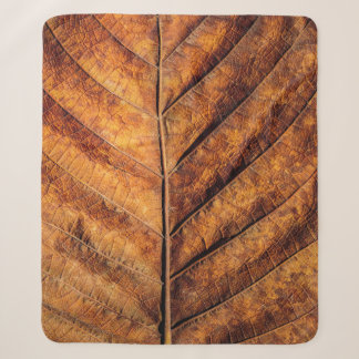 Trockenes Blatt: natürlicher Texturhintergrund. Sherpadecke